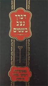 דברך נצב בשמים