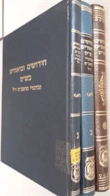 חידושים וביאורים בש"ס