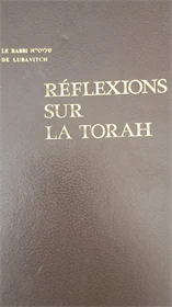 Reflections on the Torah